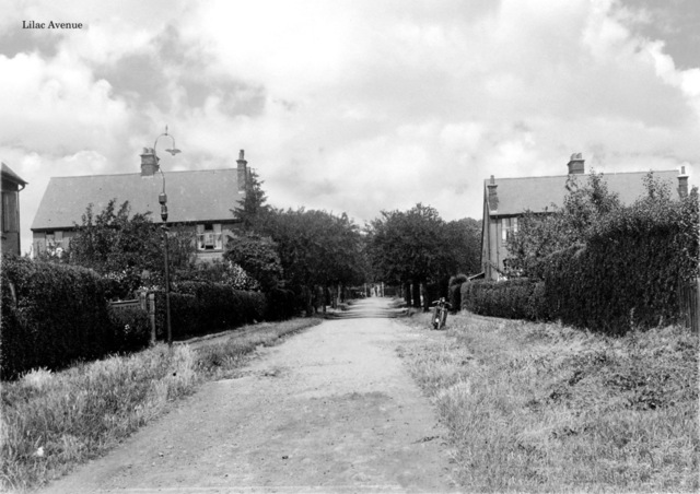 Lilac Avenue.jpg
